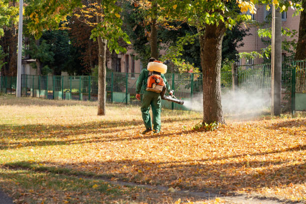 Best Commercial Pest Control Services  in Greenbelt, MD